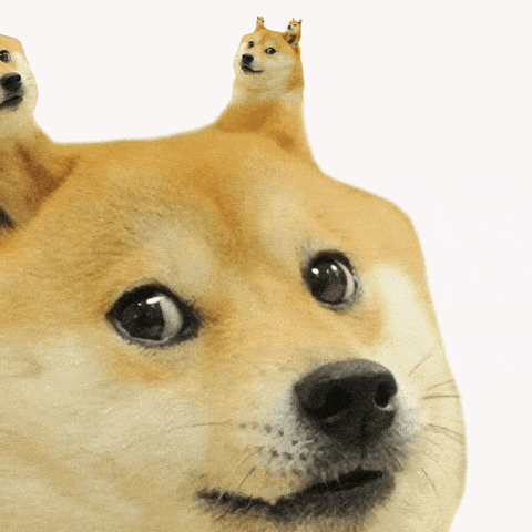 Doge meme